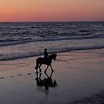 Theislandlife House 11p 펜션 *