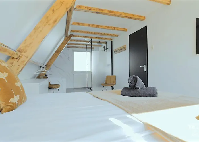 Tatil Evi Theislandlife House 11p De Koog (Texel)