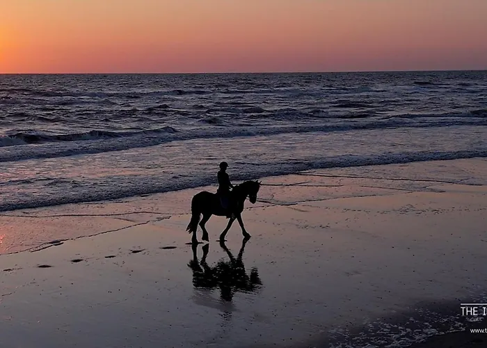 Theislandlife House 11p Tatil Evi *